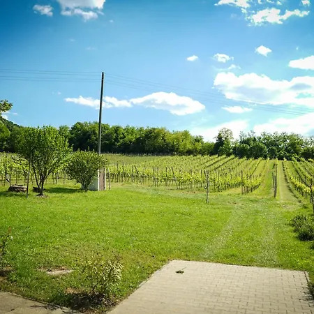 Pinot Gris House