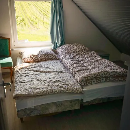 Holiday home Pinot Gris House Kaptalantoti