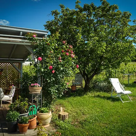 Pinot Gris House Ferienhaus *