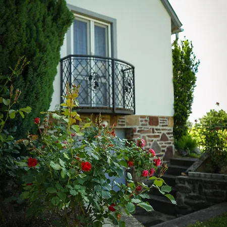 Pinot Gris House * Kaptalantoti