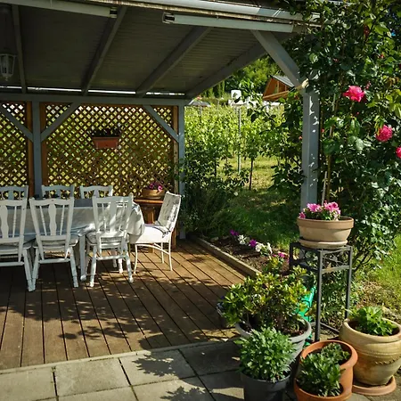 Pinot Gris House Kaptalantoti