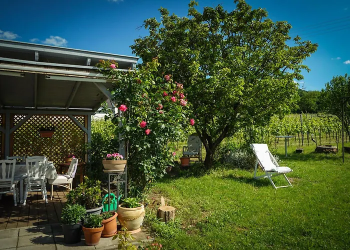 Pinot Gris House Vakantiehuis *