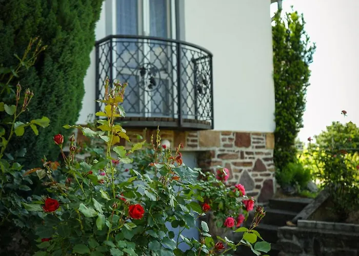 Pinot Gris House * Kaptalantoti